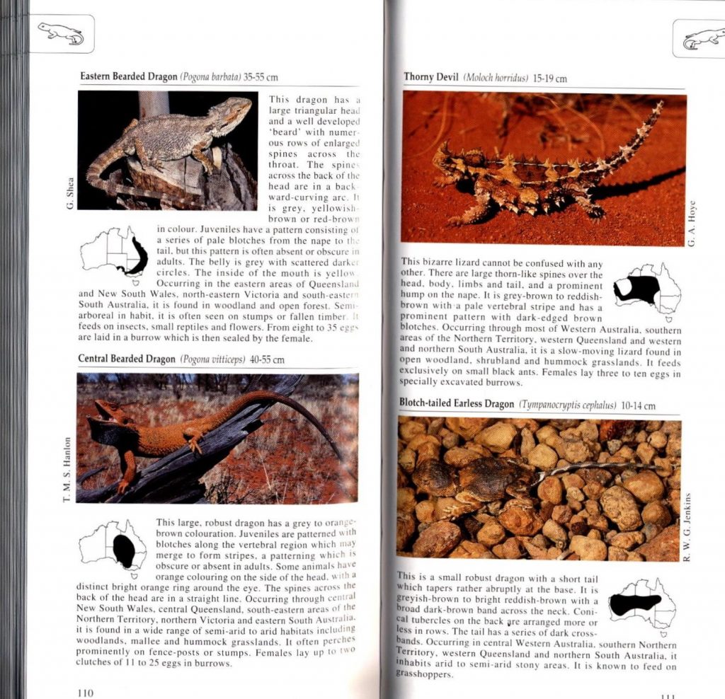 A Complete Guide To Reptiles Of Australia Seventh Edition main image 1