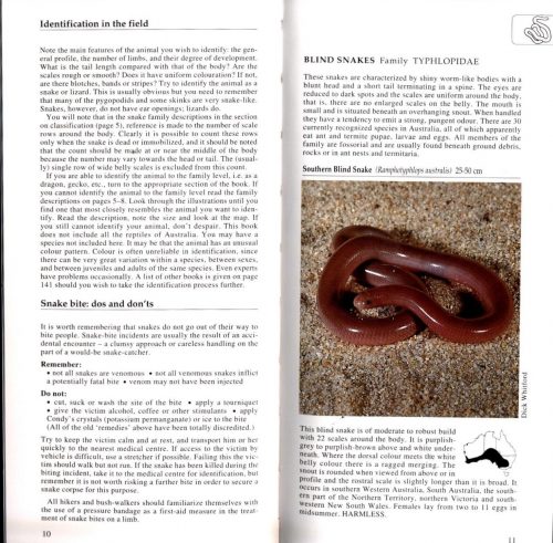 A Photographic Guide to Snakes and Other Reptiles of Australia - Image 2