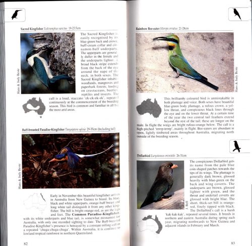 A Photographic Guide to Birds of Australia - Image 2