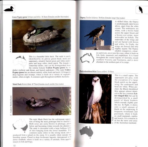A Photographic Guide to Birds of Australia - Image 3