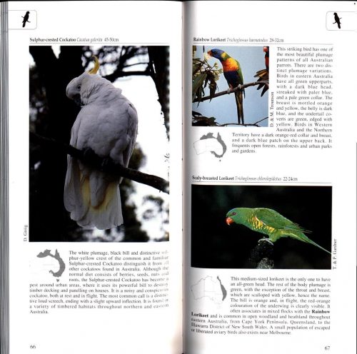 A Photographic Guide to Birds of Australia - Image 4