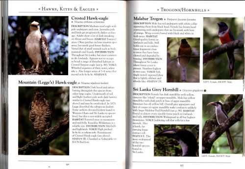 A Naturalist's Guide to the Birds of Sri Lanka (Third Edition) - Image 3
