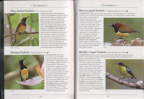 A Naturalist's Guide to the Birds of the Philippines (Second Edition) - Image 4