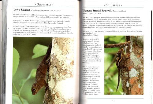 A Naturalist's Guide to the Mammals of South-East Asia: Brunei, Cambodia, Indonesia, Laos, Malaysia, Myanmar, the Philippines, Singapore, Thailand and Vietnam - Image 4
