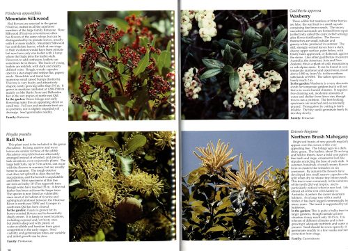 Australian Rainforest Plants III: In the Forest & in the Garden - Image 2