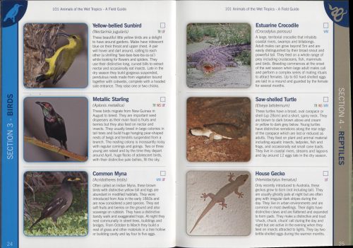 101 Animals of the Wet Tropics: A Field Guide - Image 3