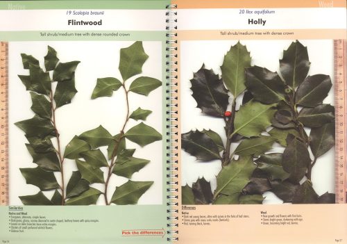 Native Plant or Weed: Pick the Difference, Volume Two - Image 3