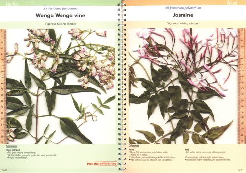 Native Plant or Weed: Pick the Difference, Volume Two - Image 4