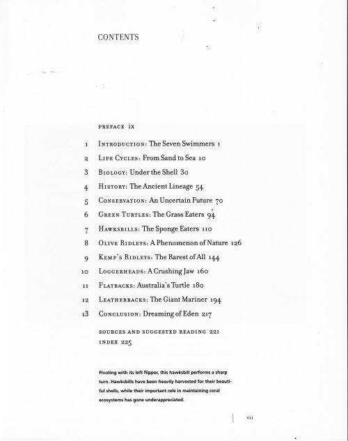 Sea Turtles: A Complete Guide to Their Biology, Behavior, and Conservation - Image 2