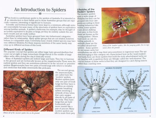 Green Guide: Spiders of Australia - Image 3