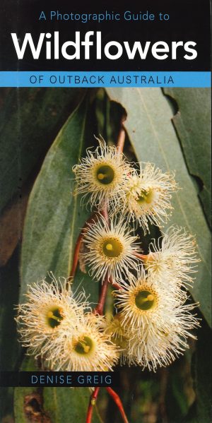 A Photographic Guide to Wildflowers of Outback Australia