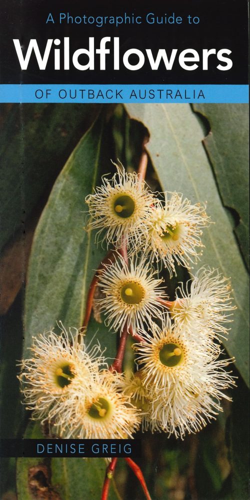 A Photographic Guide to Wildflowers of Outback Australia
