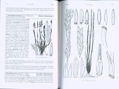 Grasses of South Australia: An Illustrated Guide to the Native and Naturalised Species (Second Edition) - Image 3