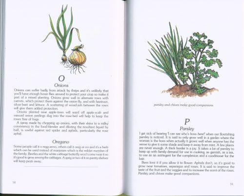 Companion Planting in Australia - Image 4
