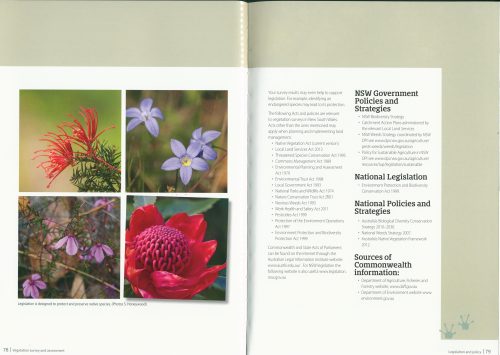 Vegetation Survey and Assessment EnviroGuide - Image 3
