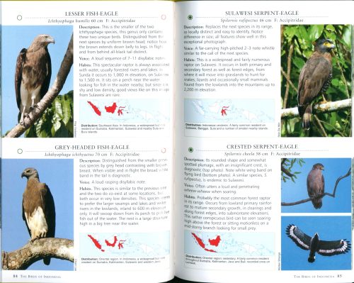 A Photographic Guide to the Birds of Indonesia (Updated Second Edition) - Image 2
