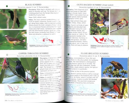A Photographic Guide to the Birds of Indonesia (Updated Second Edition) - Image 4