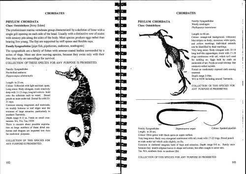 Between Tasmanian Tide Lines:  A Field Guide (Fourth Edition) - Image 4