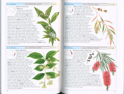 Cronin's Key Guide to Australian Trees - Image 3