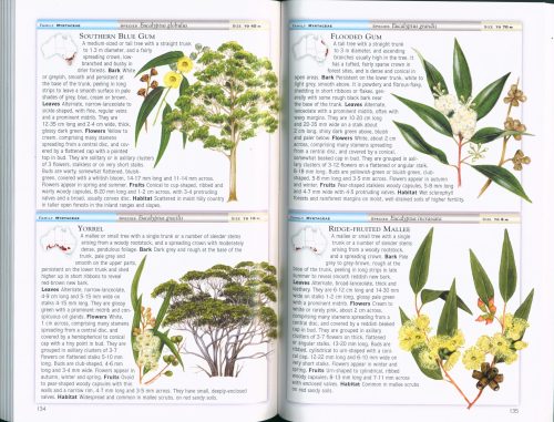 Cronin's Key Guide to Australian Trees - Image 4