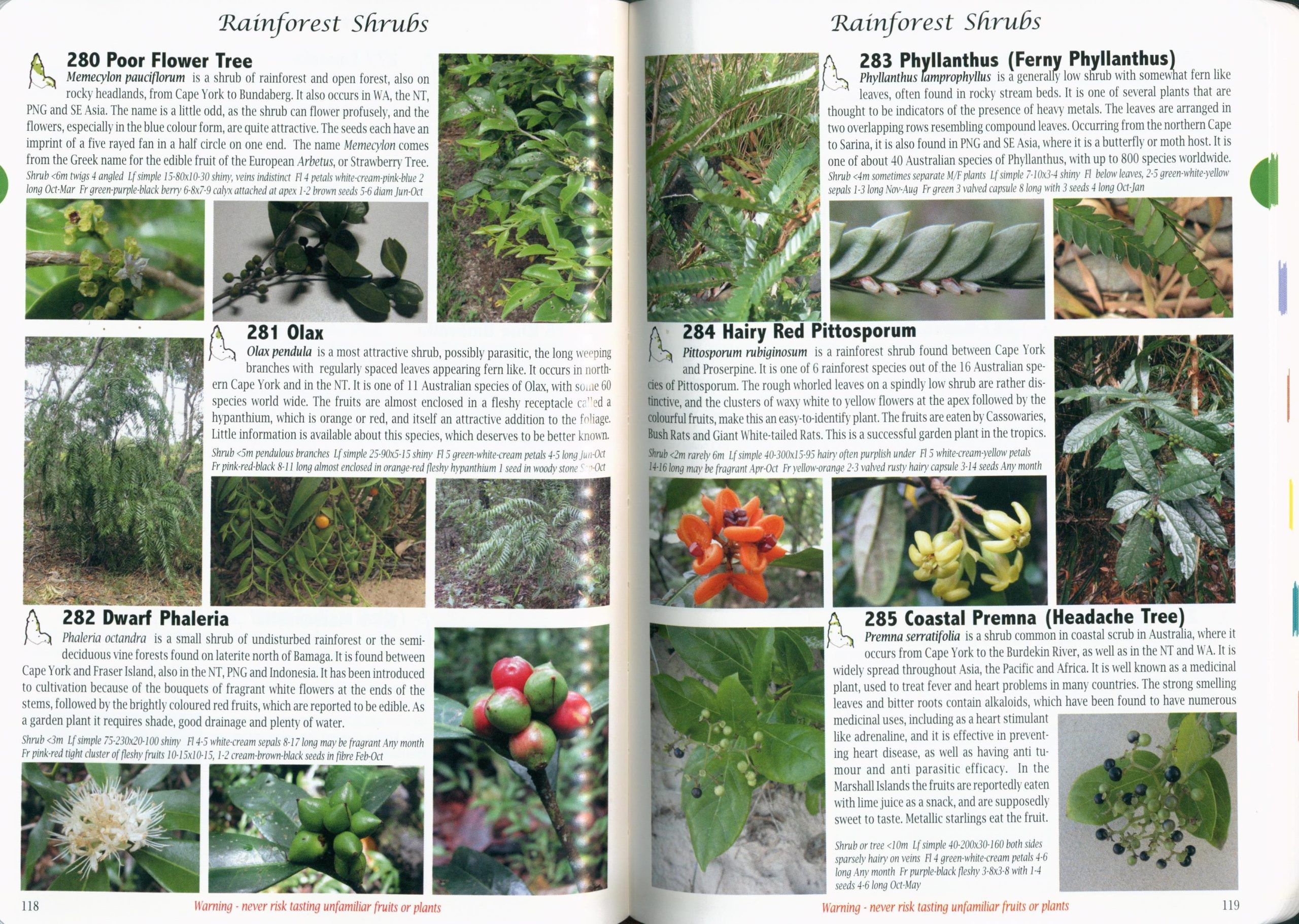 Plants of Cape York: The Compact Guide - Image 3