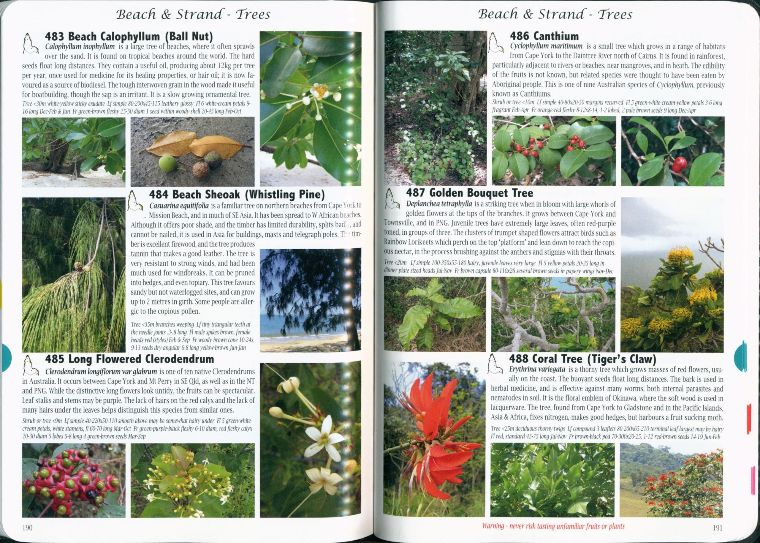 Plants of Cape York: The Compact Guide - Image 4