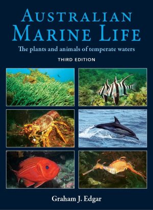 Australian Marine Life: The Plants and Animals of Temperate Waters (Third Edition)
