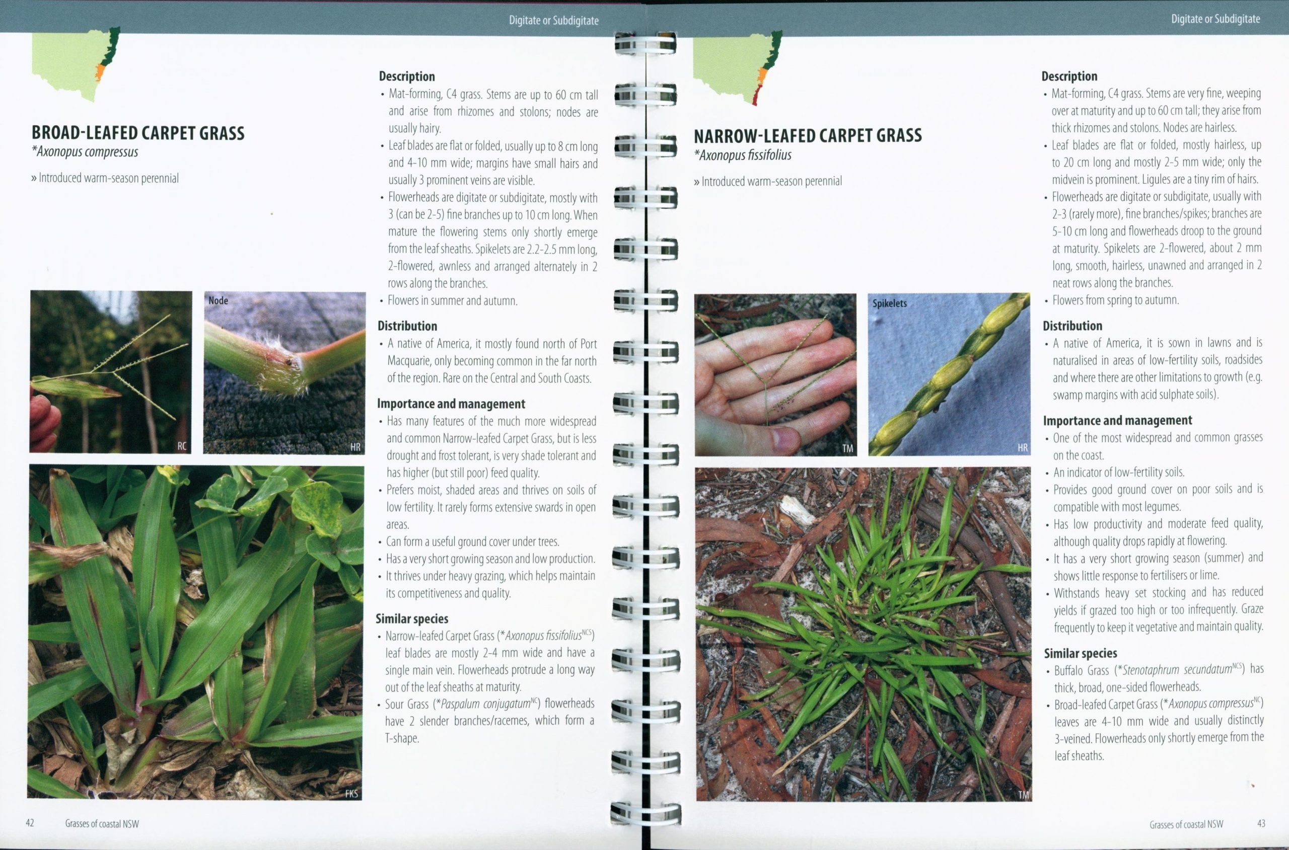Grasses of Coastal NSW (Second Edition) - Image 2