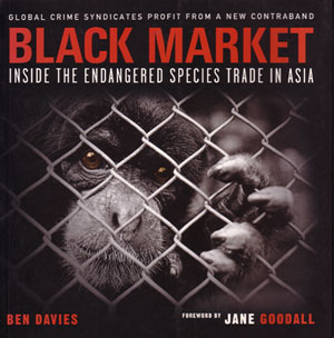 Black market: inside the endangered species trade in Asia.