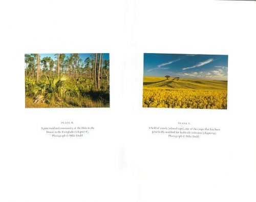Demons in Eden: The Paradox of Plant Diversity - Image 2