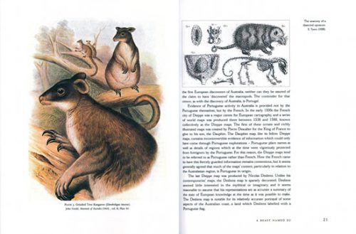 Continent of Curiosities:  A Journey Through Australian Natural History - Image 2