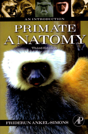 Primate anatomy: an introduction.