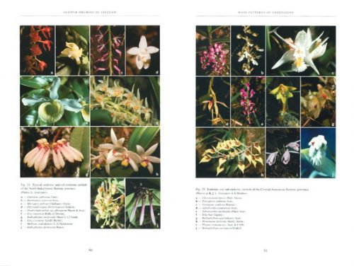 Slipper Orchids of Vietnam: With an Introduction of the Flora of Vietnam - Image 2