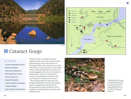 Where to see Wildlife in Tasmania - Image 2
