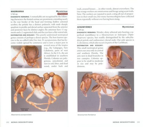Ants of North America: A Guide to the Genera - Image 2