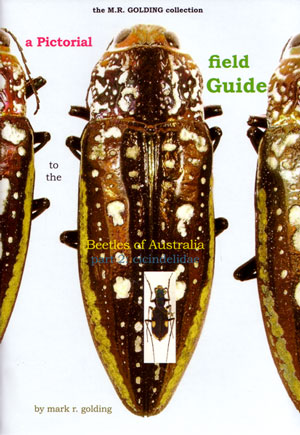 A Pictorial Field Guide to the Beetles of Australia: Part two, Cicindelidae