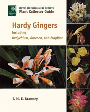 Hardy gingers: including Hedychium, Roscoea and Zingiber.
