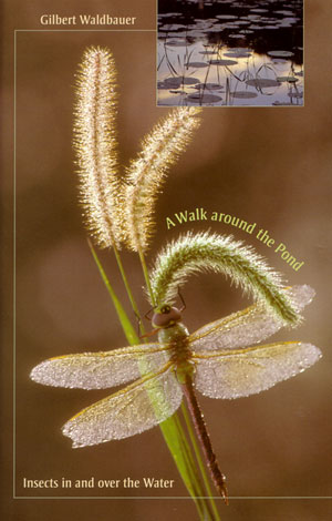 A Walk Around the Pond: Insects In and Over the Water