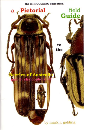 A Pictorial Field Guide to the Beetles of Australia: Part three, Chalcophorinae
