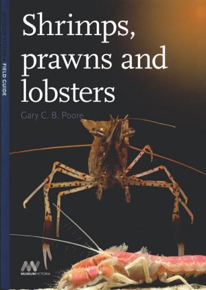 Shrimps, Prawns and Lobsters