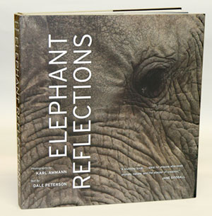 Elephant Reflections