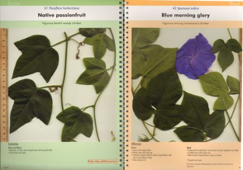 Native Plant or Weed: Pick the Difference, Volume Two - Image 2