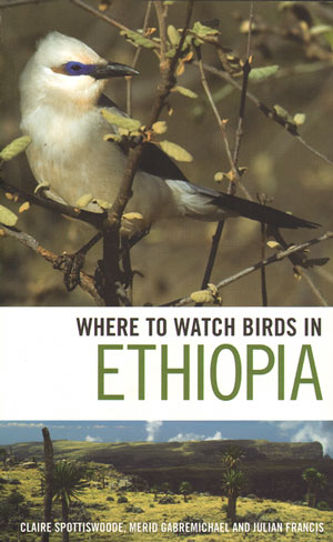 Where to Watch Birds in Ethiopia
