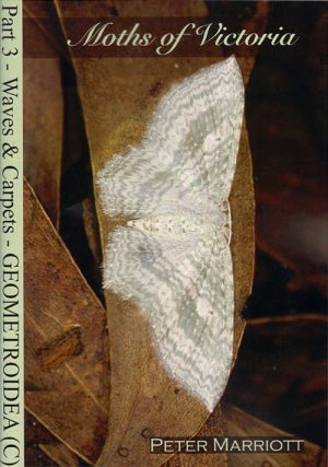 Moths of Victoria: Part three, Waves and Carpets and Allies Geometroidea (C).