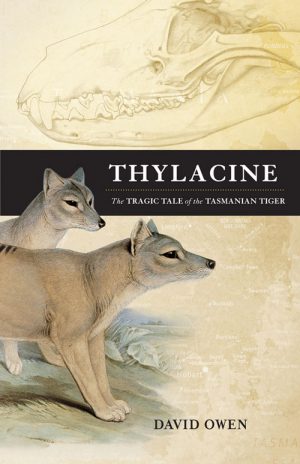Thylacine: The Tragic Tale of the Tasmanian Tiger