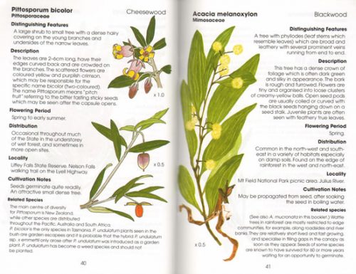 Rainforest Plants of Tasmania: Plant Identikit (Second Edition) - Image 2