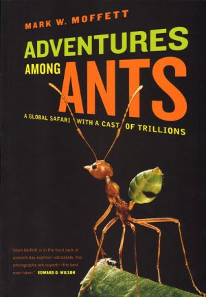 Adventures Among Ants: A Global Safari with a Cast of Trillions