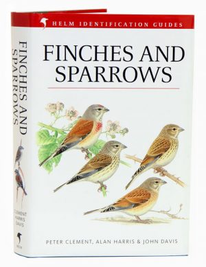 Finches and Sparrows