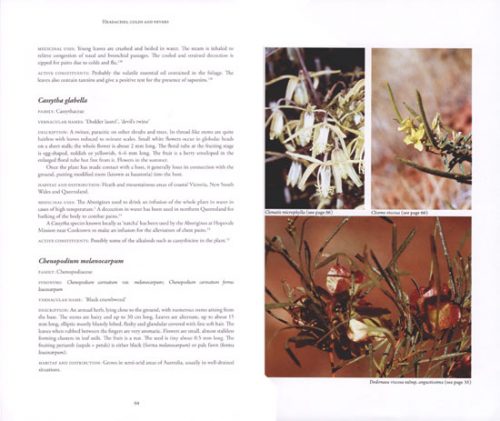 Australian Medicinal Plants: A Complete Guide to Identification and Usage - Image 2