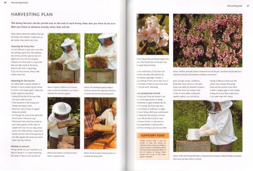Complete Step-by-Step Book of Beekeeping: A Practical Guide to Beekeeping from Setting up a Colony to Hive Management and Harvesting the Honey. - Image 2